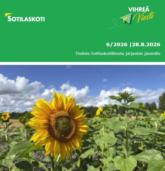 Vihreä viesti 6/26