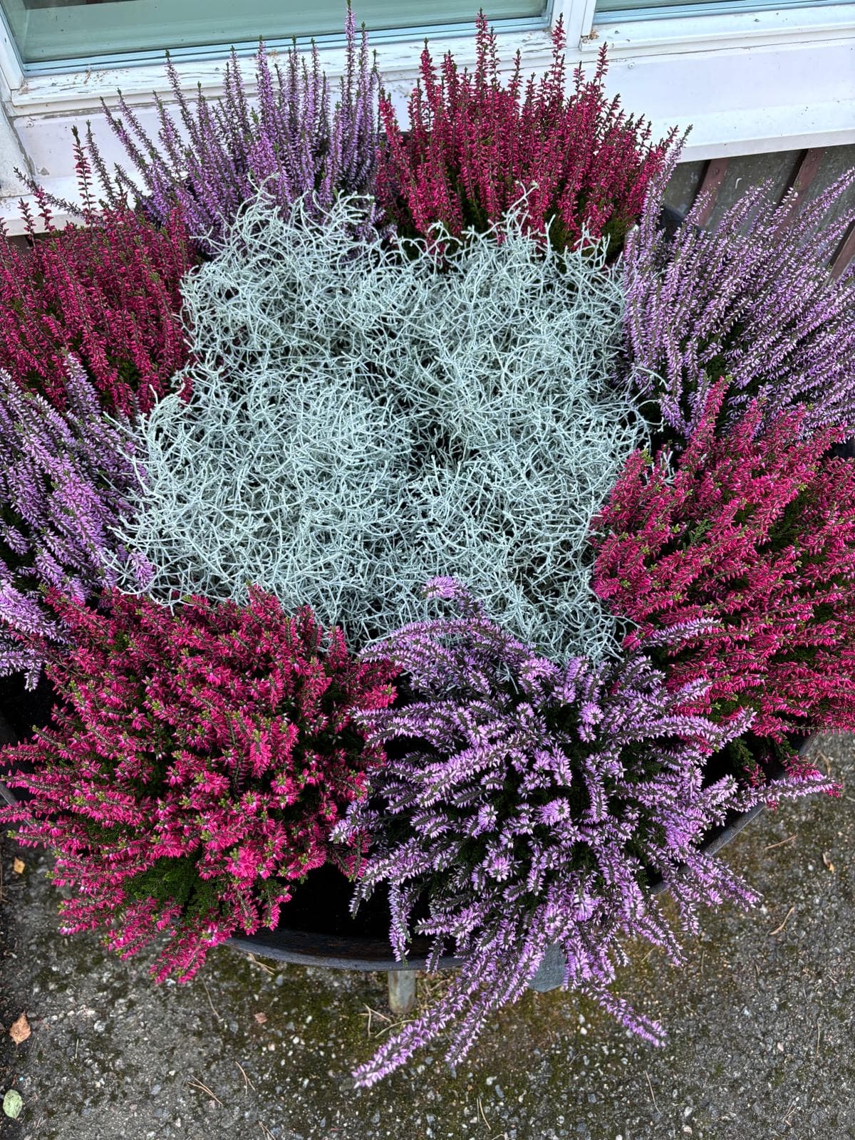 Turun Sotilaskotiyhdistyksen perinteiset joulumyyjäiset 23.11.2025 klo 11-14